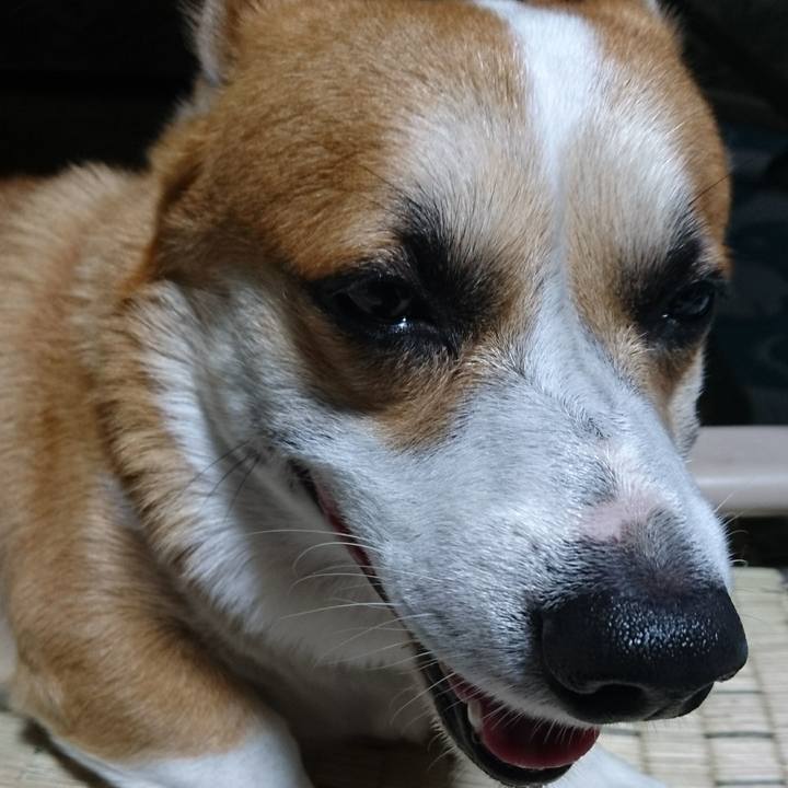 276294b5 a8ff 4017 80a0 91f6ac08553c 1626942809085