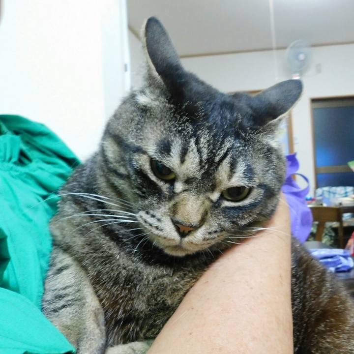 2762a576 a6f9 49cd a9d8 ba805da3dc56 1560260335936