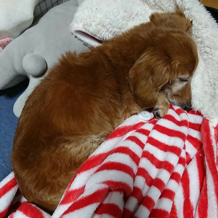 2762a979 b144 466c b20c 33441a126f72 1511329832712