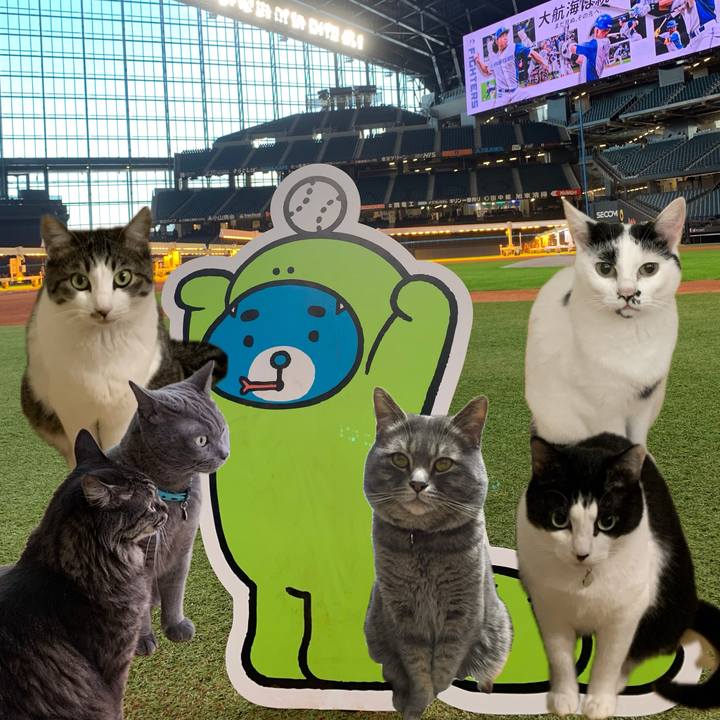 2762db0c 5156 4b62 947d 16364c69aaf0 1735972155067