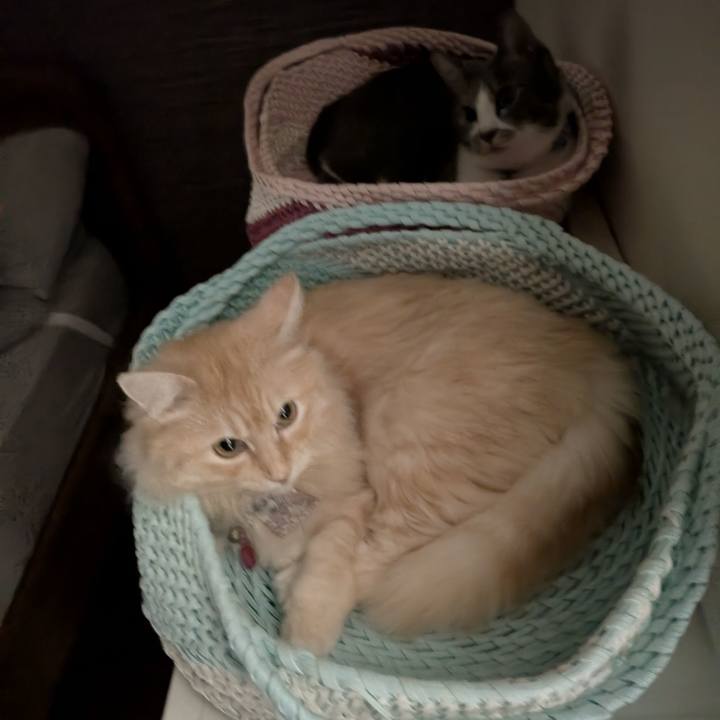 276303b2 c58a 44af a4d7 b644527650ea 1756659806251