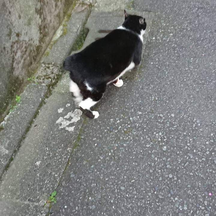 276306fd 276a 457a 9794 19e1219ed5fd 1578973950032