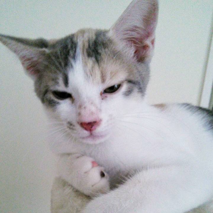 2763626b 77d2 4495 8a1b f99dbd237312 1677557545112