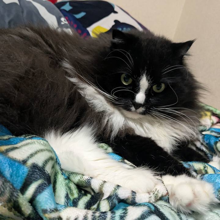 27636914 c9ad 4955 9ea8 1801f2ad8664 1761567349956