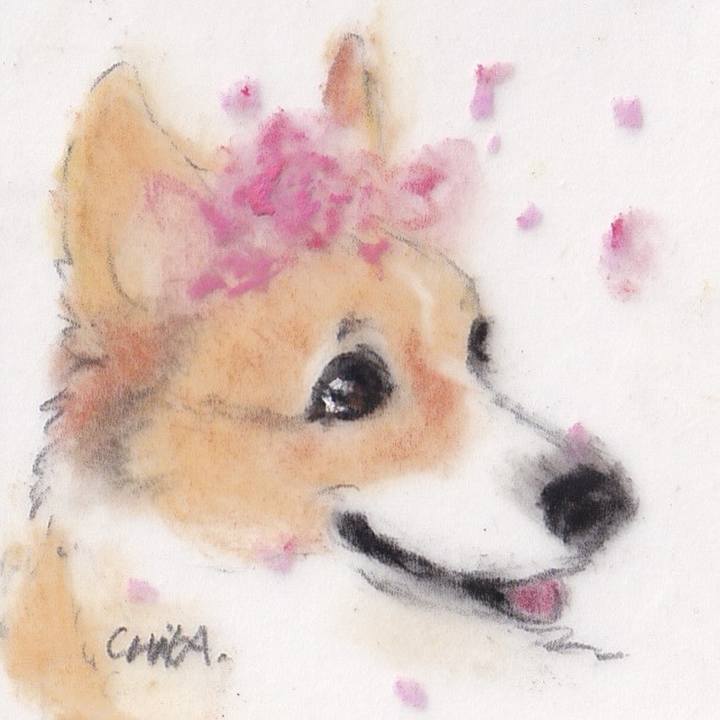 27638167 9e5f 435e b0e6 1f947d90487a 1711462447848