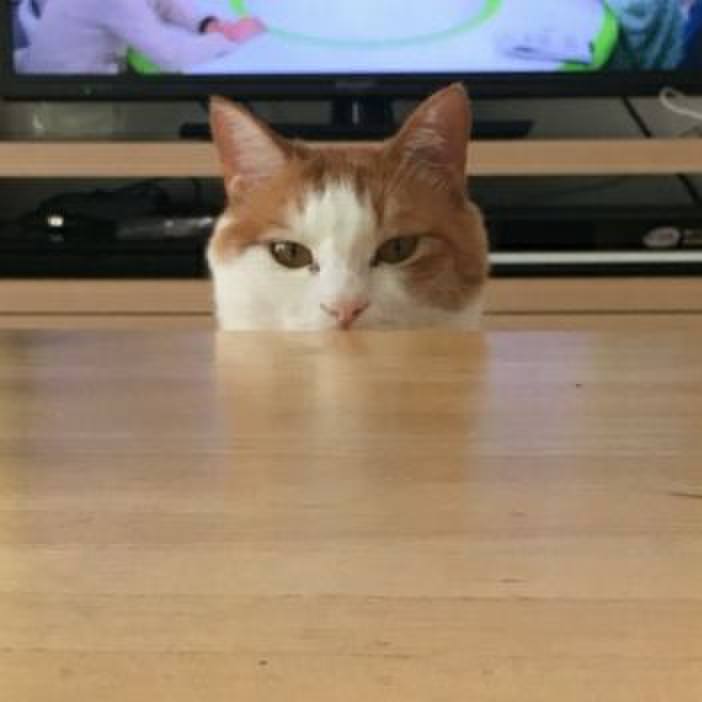 27642f8e ccb4 4c3a 9008 10ae148920e4 1538513820167