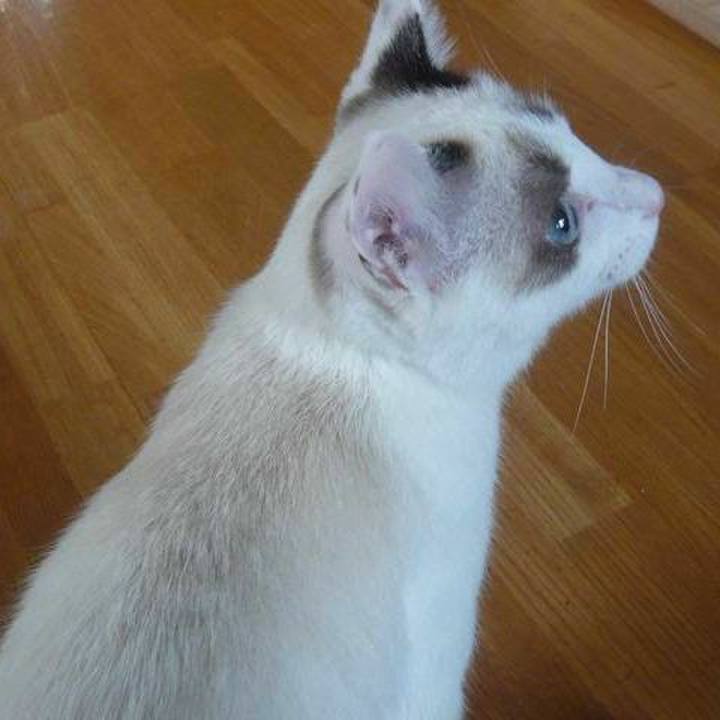 276442ac f0d4 4881 a8ae 4c59e109e20b 1568876162424