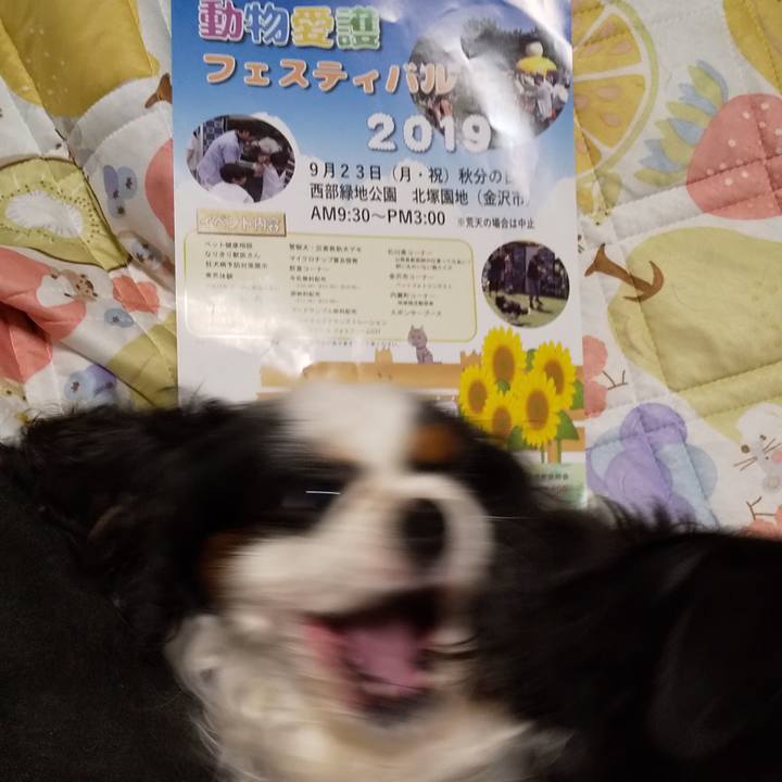 27644984 d753 4fdc 8d02 94b77010c411 1569162519594