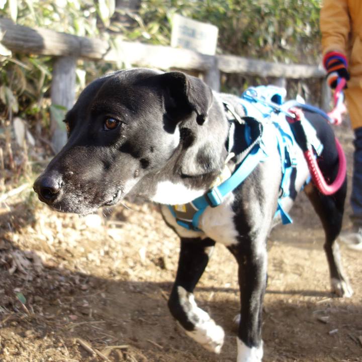 276449f3 0356 4a2c 8da7 43fb0bd4304d 1614125856263