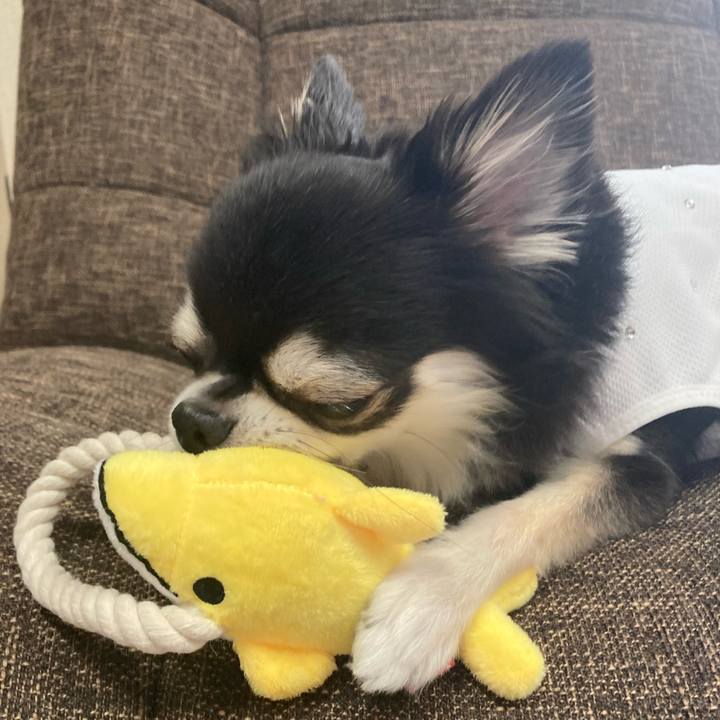 2764615f 6420 4fe8 a9b2 9150c76b275e 1692096546906