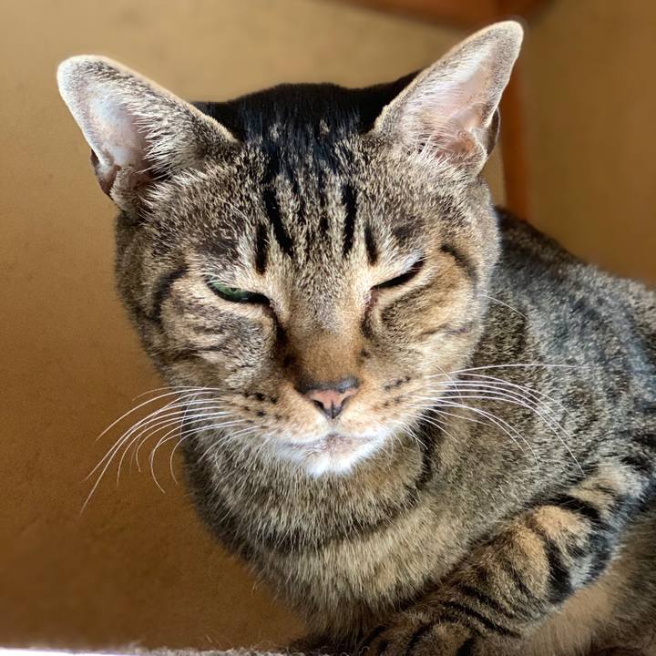 27646356 35c5 4760 9bbe 7d0fd8a1b9d1 1551747799875