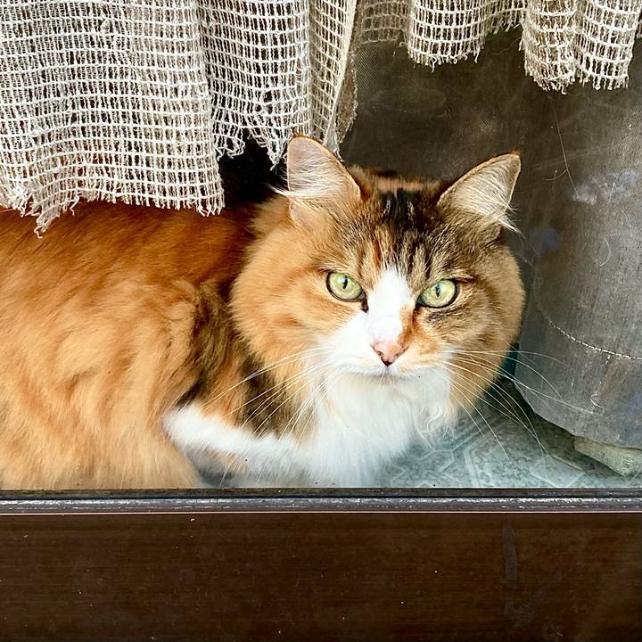 276485cb c480 45e5 9088 8169c79a0f2d 1639534342368