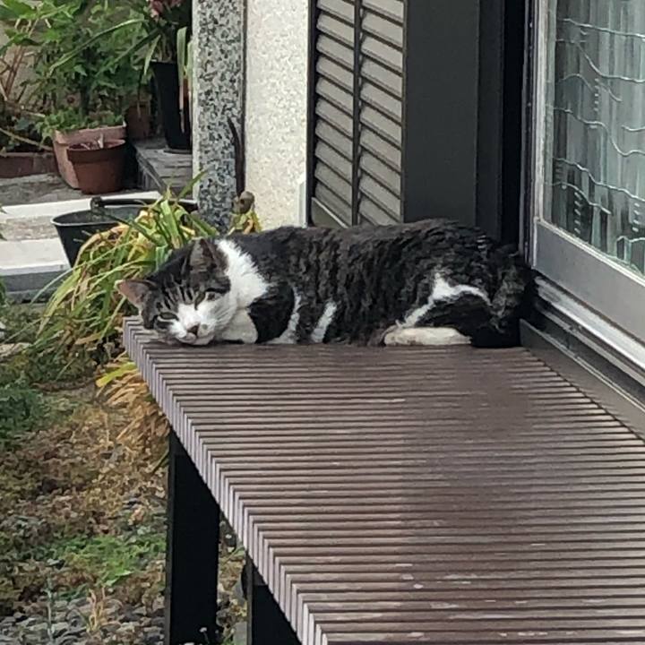 2764a006 8a07 4780 9875 e0ac6d16d6c1 1591346495736