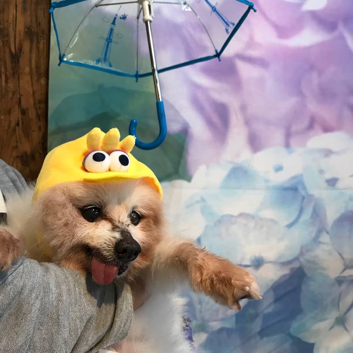 2764b2ff c78b 460d acac d9513d7a4a68 1530632408892