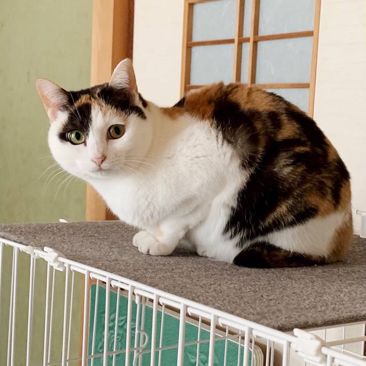 2764e511 2628 4c87 a7a6 1bf479e5734a 1551923187978