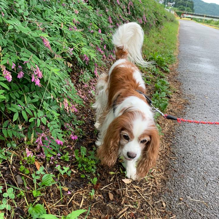 2764ee48 dd36 4a14 9852 4be28670f43d 1592034312150