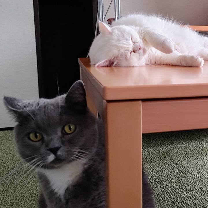 27654e85 cfba 4096 812b 6bf85a0e3615 1663548028879