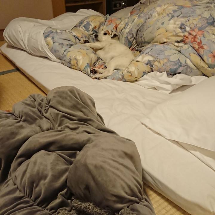 27655468 c165 4b5b 999b 813acc842254 1524459394954