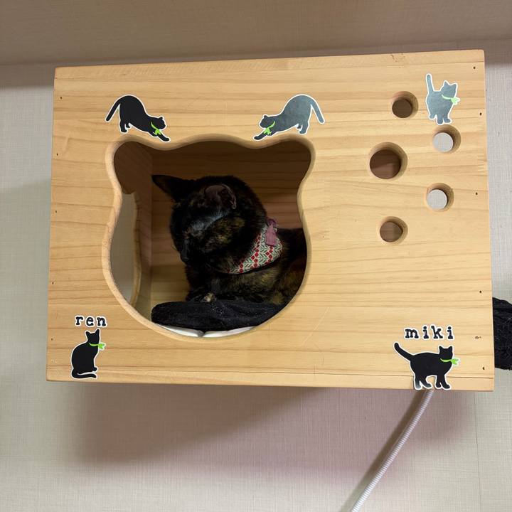 27656644 e2d7 49db baec 7d5760065997 1770747807547