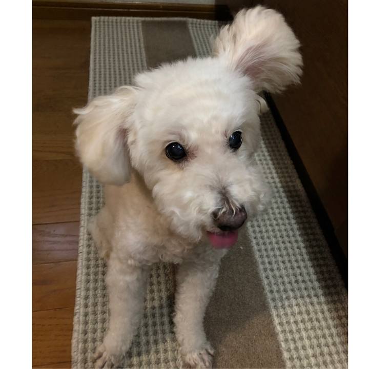 2765908a 4657 4cc1 84df 1e52abac0444 1544709316421