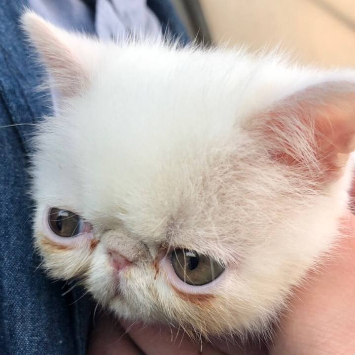 276598a7 375b 4ad0 bfb6 777ec461bddc 1605100336168