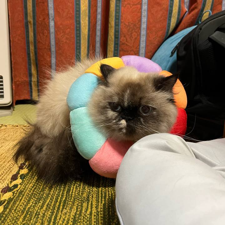 2766023a ea1c 432e bf1c 2d2cb20bbb36 1671104746284