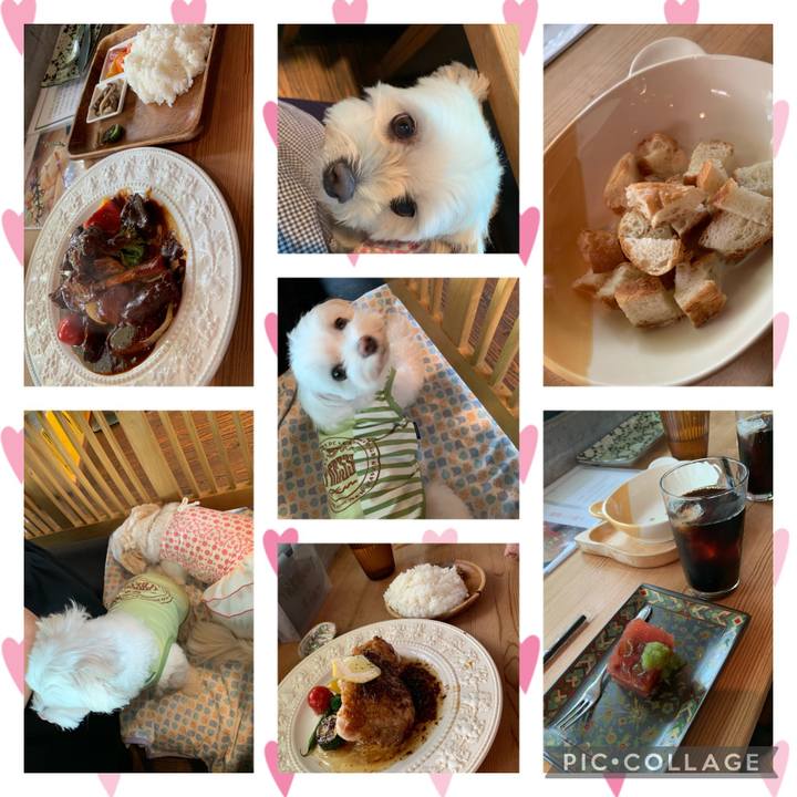 27661f91 b203 4cc1 a0eb b0249699ddd5 1627622927867