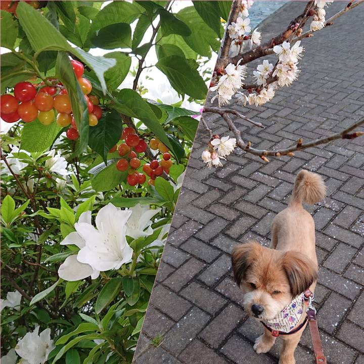 27662125 dc44 4c11 98ea 6d3aebcee9e0 1556098508380