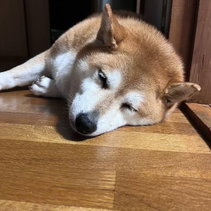 276687e9 b710 4e49 9e32 08f39006ac59 1693401141456