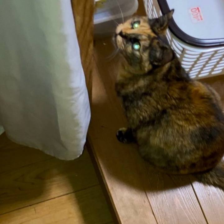 2766a915 87e9 45cc 9652 e30e64b8c4d7 1738869859168