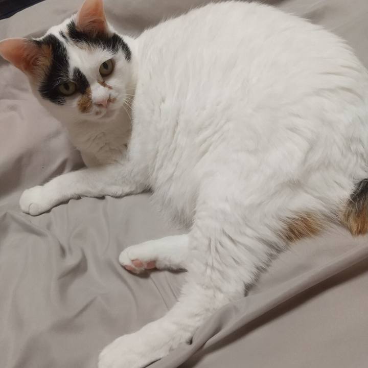 2766c5d4 5057 4602 9659 3aa2f85bf7c2 1687702138039