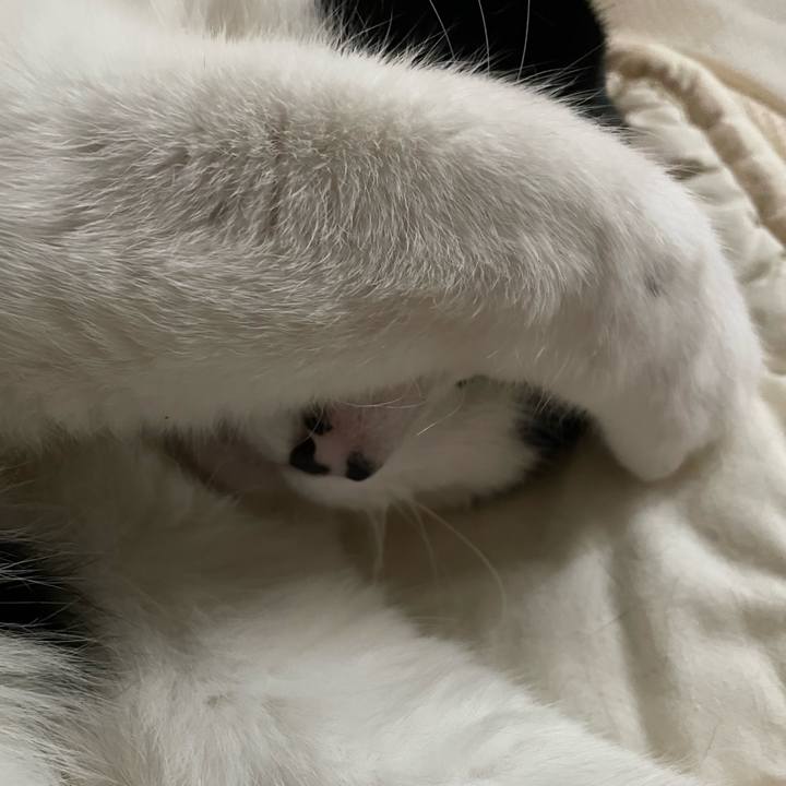 2766f80c b2fc 4eef 86af d1c34b5ecfe4 1652047145151