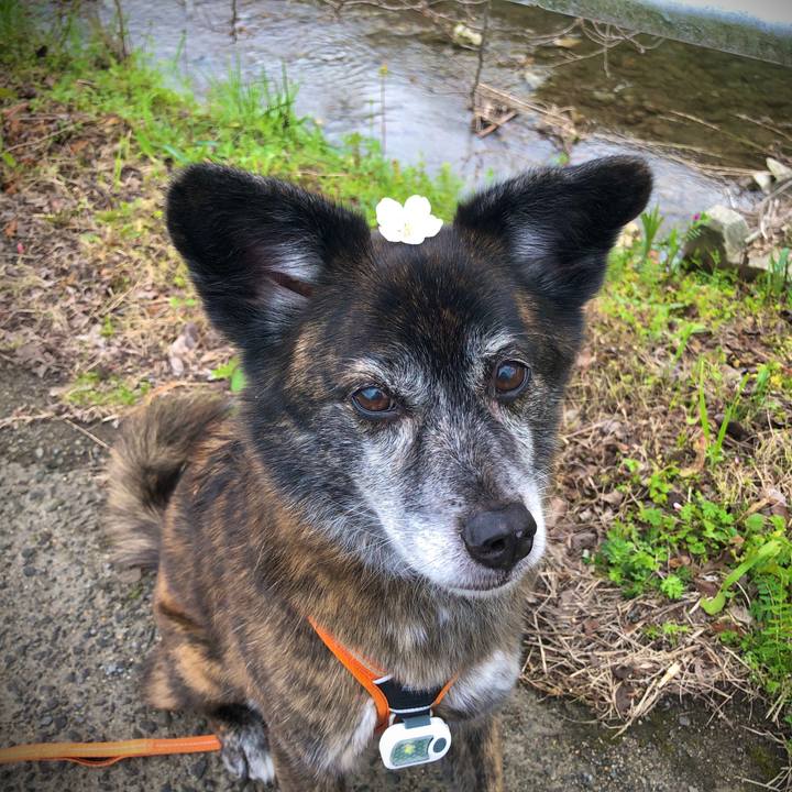 27671021 f7fd 458f a631 211a67f2993a 1679474669846