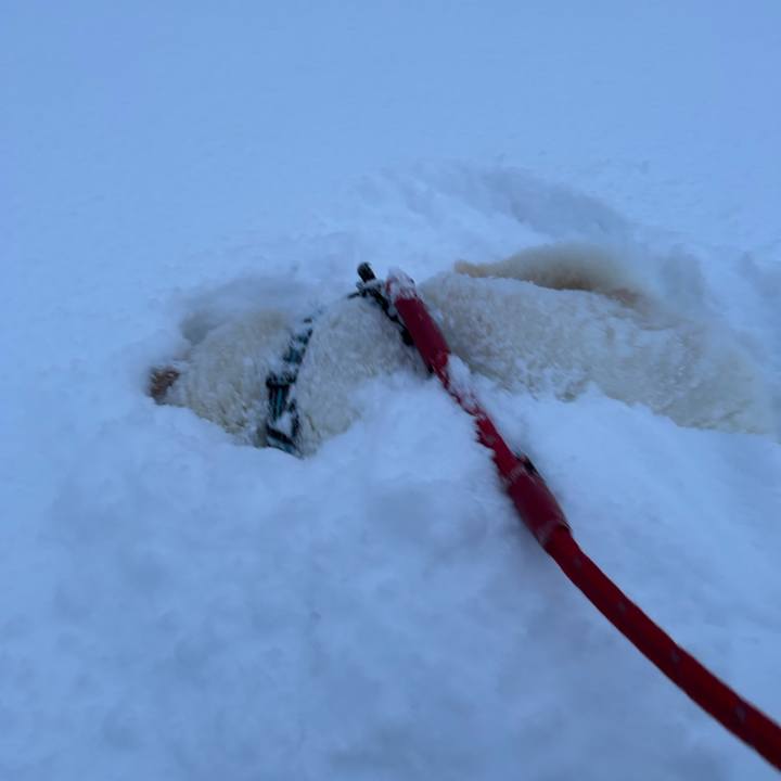 27671ad8 969f 493f 9951 3ed8cef21205 1737159402808