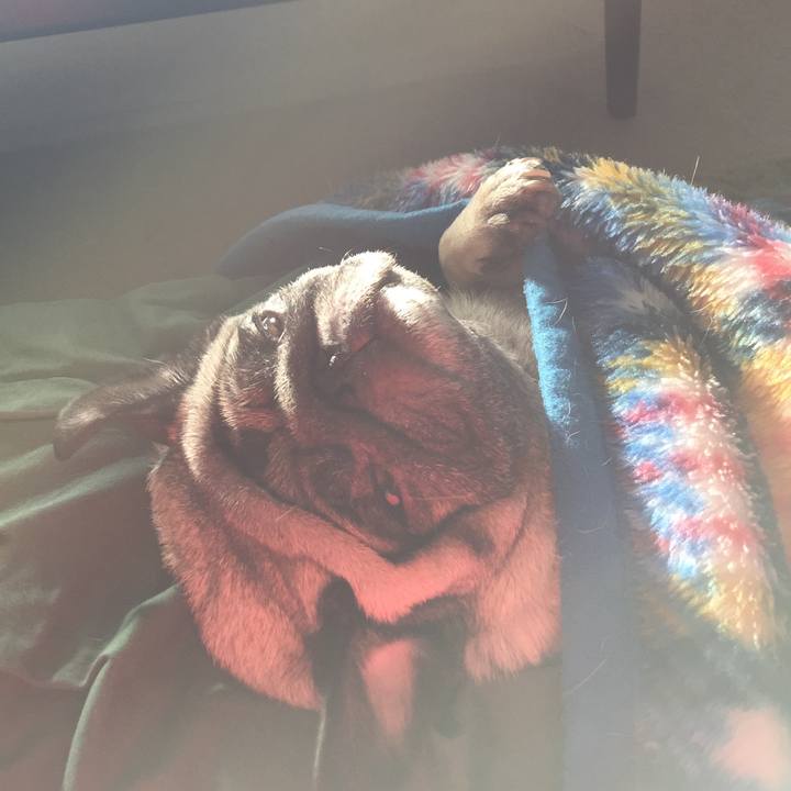 27676a86 3369 444d 8410 1dab71d8d4fd 1542583094989