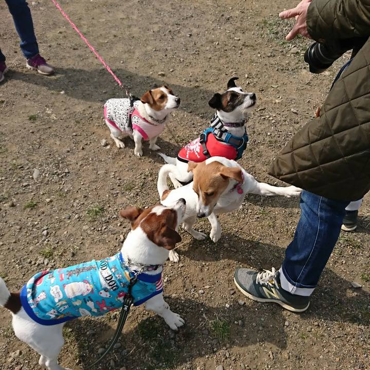 27678319 9a61 439b 9aef 4e40607f7eda 1519528769893