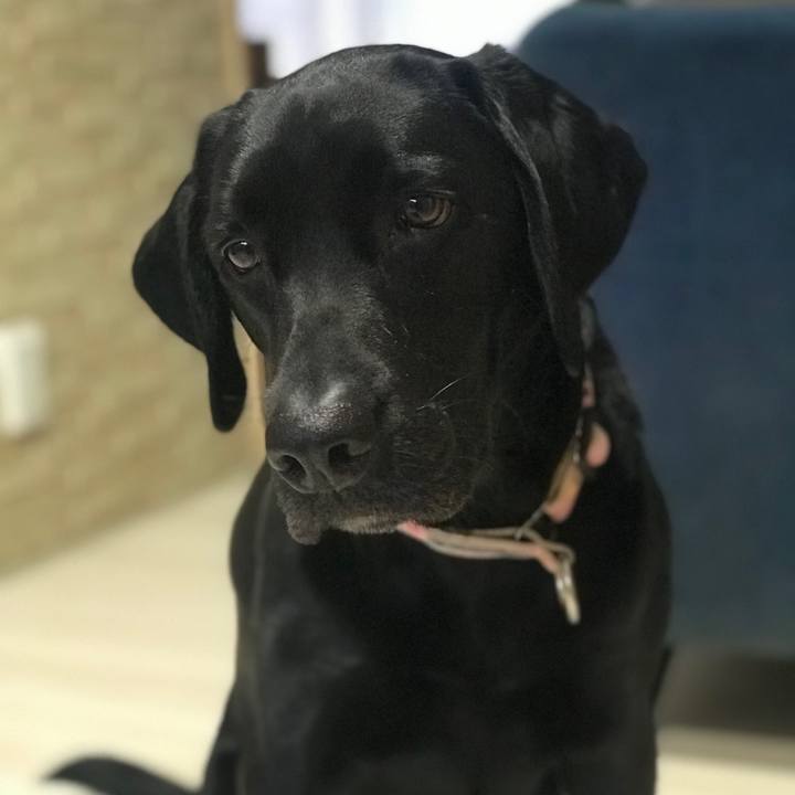 2767a688 b2bd 49c8 aec8 98e55f74f140 1576016579623