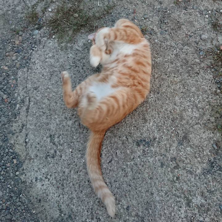 2767a9d7 815b 40a1 a8d6 f79fbed67d58 1568105938785