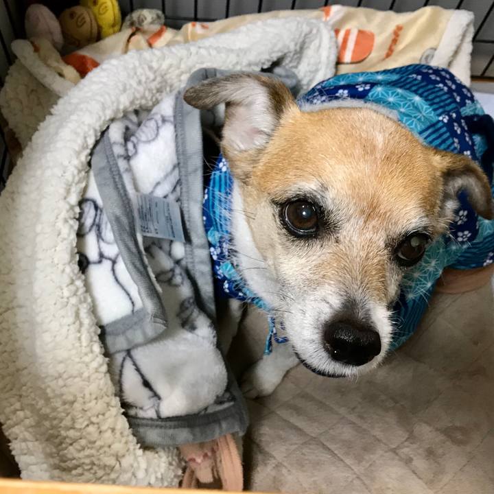 2767bcad 14ad 4439 aa34 1c992e0d3407 1611180005645