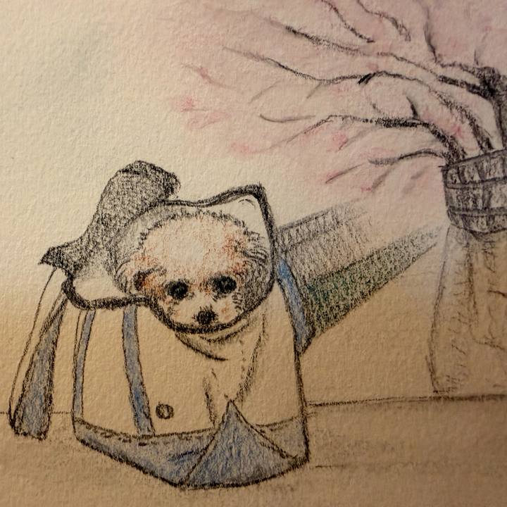 2767da1b 41cc 40f7 912c d8feefd53ad3 1774792811430