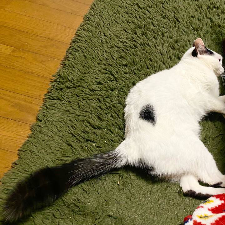 2767da6d 7c9c 4abe a01a 523b3940322b 1739329311623