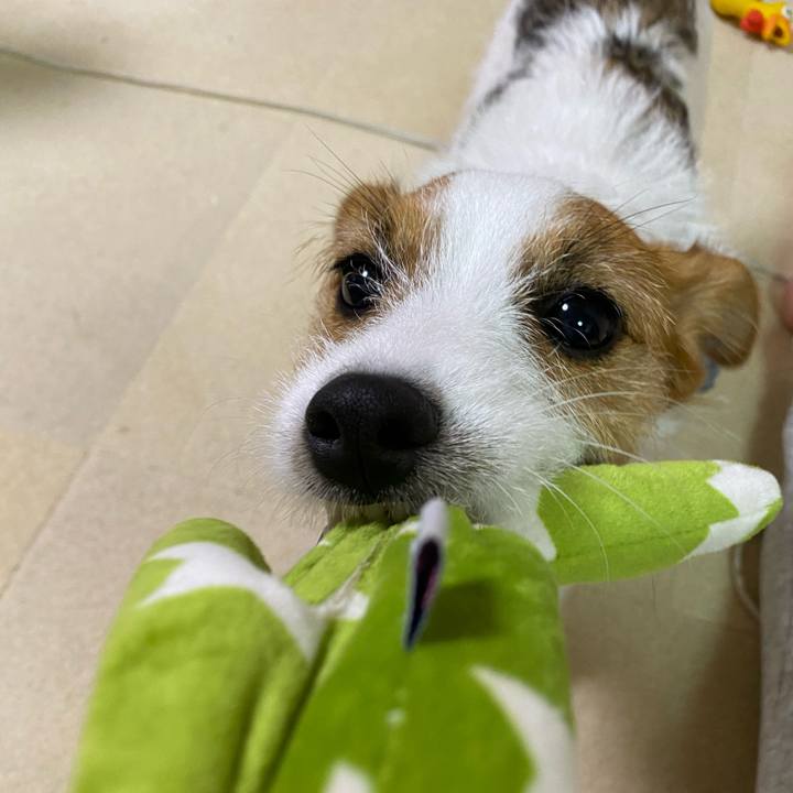 2767f1f9 c8da 41df 905d a69e2eee0636 1627564317143