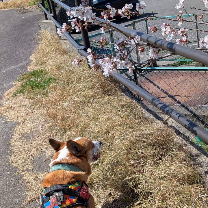 2767f3a9 183a 4339 a9a6 aa8f43d048a9 1743889149728