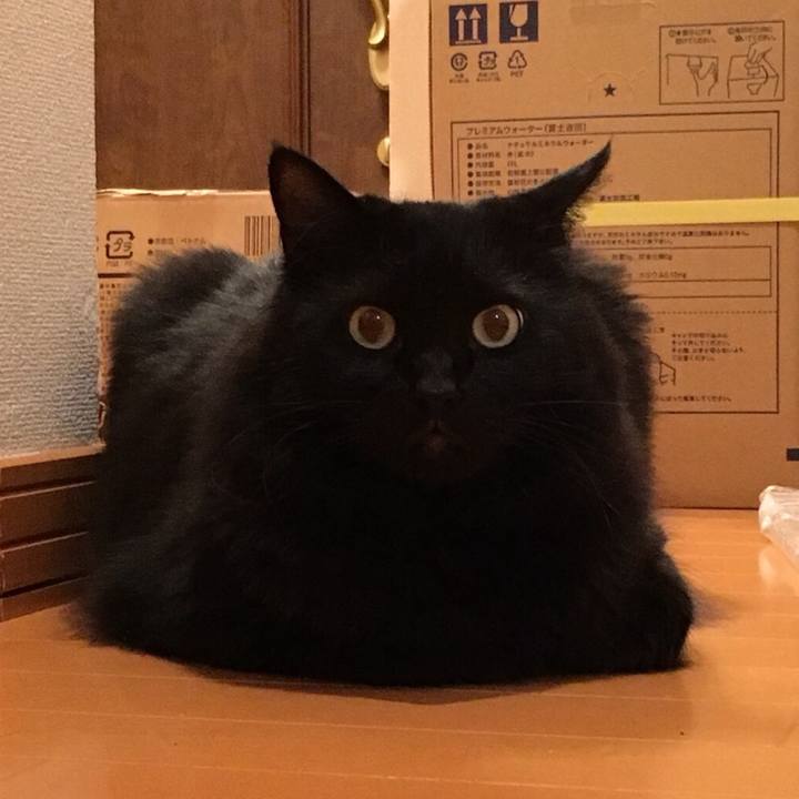 2767fa49 e19f 4fbc b83f c30c7473854e 1533583832738