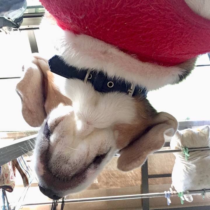 2768174f 8b25 4df8 bd12 8ac3acd5ce2a 1544251412034