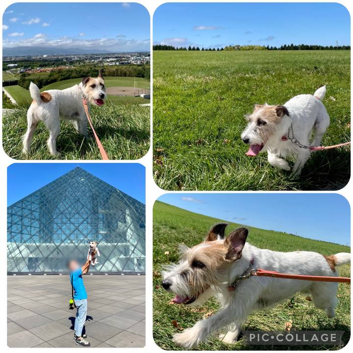 27686e12 c0c2 4a3e 9ed1 82deffc7c1bf 1663146840630