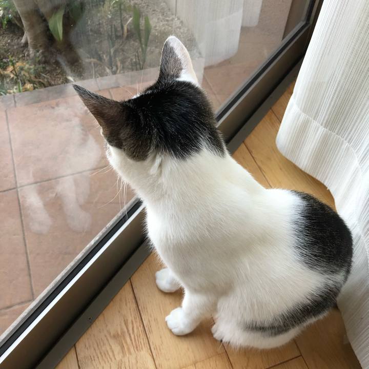 2768949f 0bfa 4a99 b3c2 45062552f42e 1581930478365