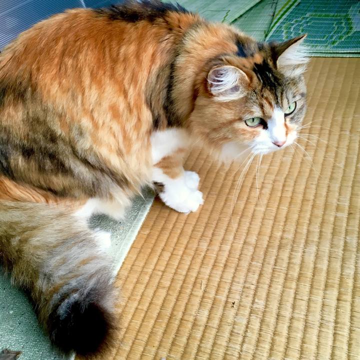 27689aaa 84e8 45c4 8e7a f49b2312e1ba 1560740068169