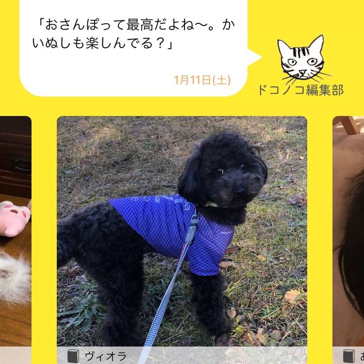 2768c5f4 f0ce 4685 815f 33e5ab468ffc 1579671951833