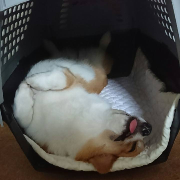 2768dca4 f852 4871 81e2 059b21128b57 1530847627124